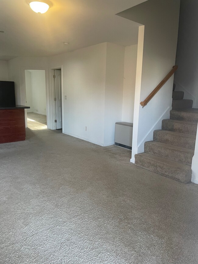 88 Trinity Cir