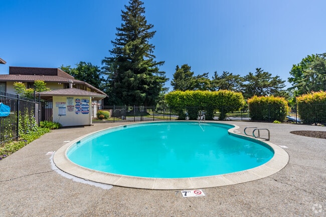 Piscina - South Park Village Apartments