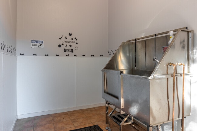 Dog Wash