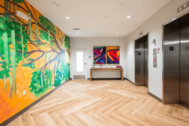 Photo - Cypress Pinchback