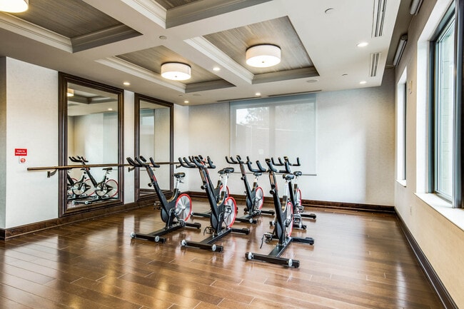 Yoga & Spin Studio