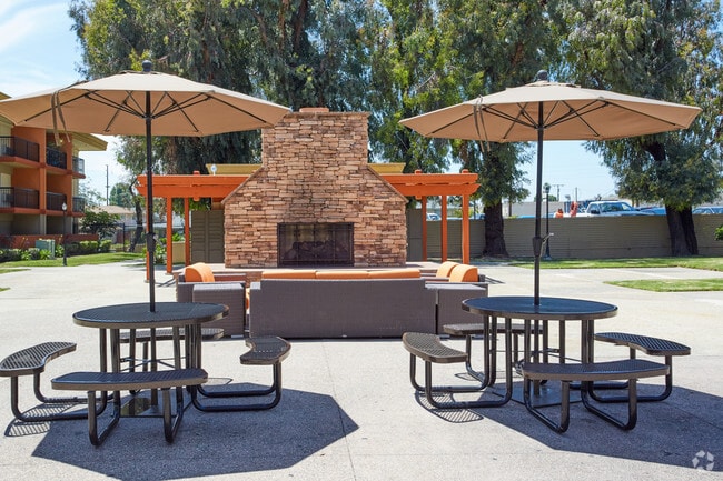 Outdoor Lounge and Barbecue Area