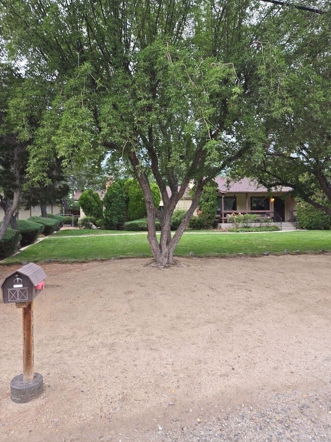 Photo - Beautiful Home in Old Southwest Reno w/Large Backyard