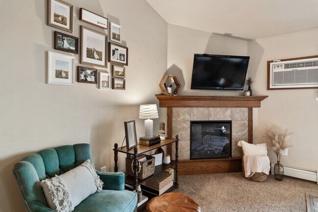 Photo - 1 Bed, 1 Bath 890 Sq Ft Unit 1014 Timber Springs Dr - Apt 1