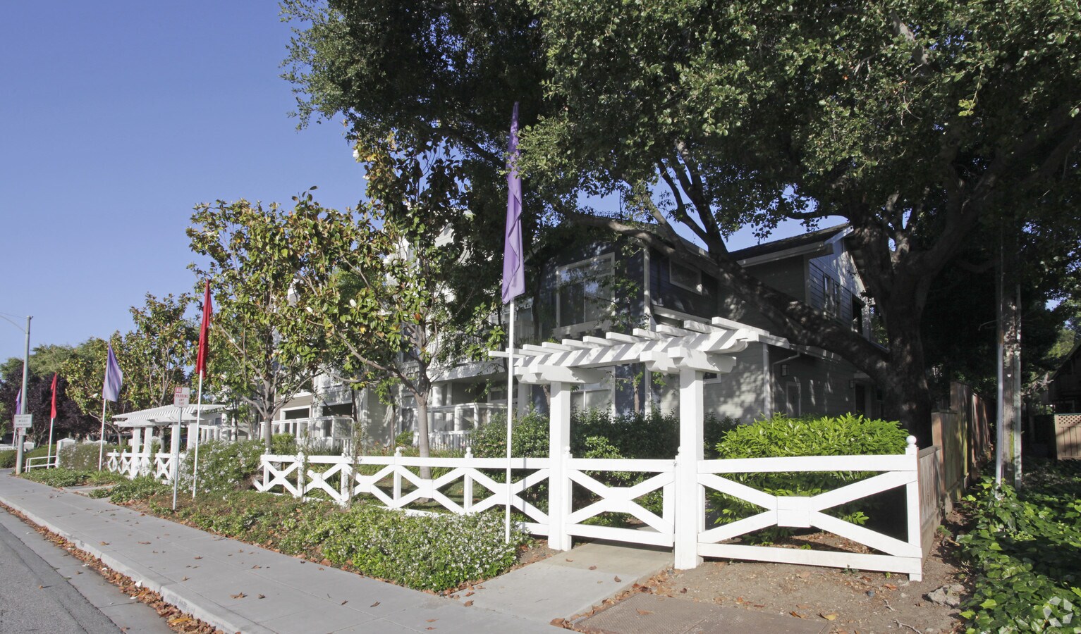 Photo - Magnolia Lane