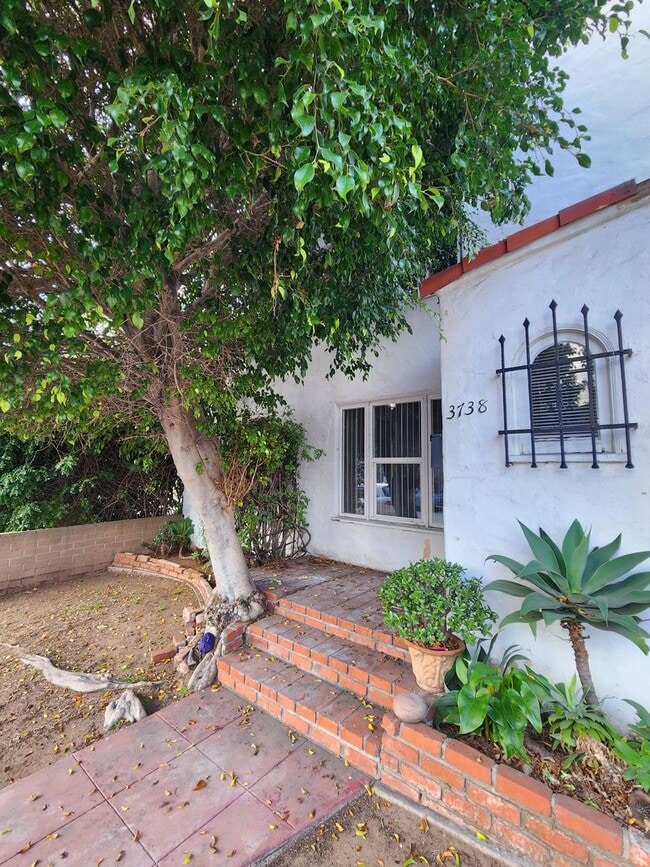 Photo - Florida Street