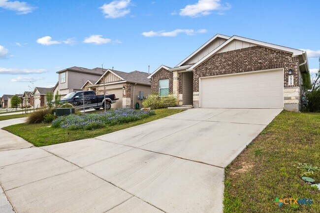 Photo - 2924 Whinchat