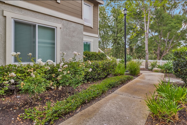 Photo - 26316 Los Viveros