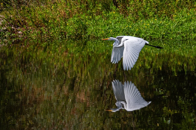 Building Photo - 2567 N Fitch Mountain Rd Unit 2