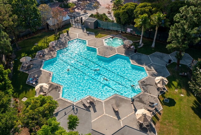 Photo - Skye at Bunker Hill