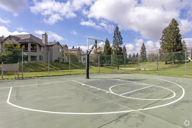 Basketball Court