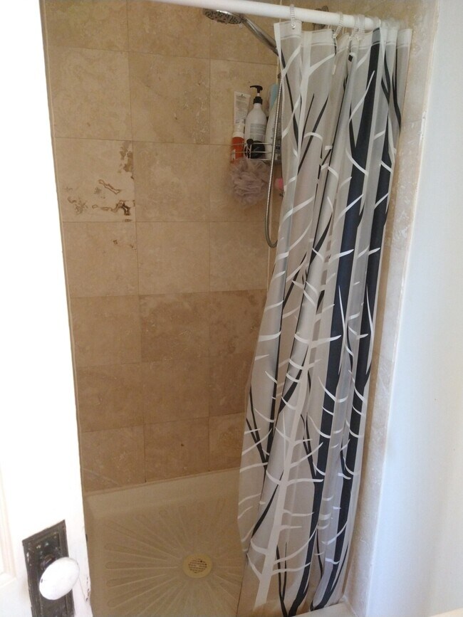 Photo - 1169 Commonwealth Ave Unit 3