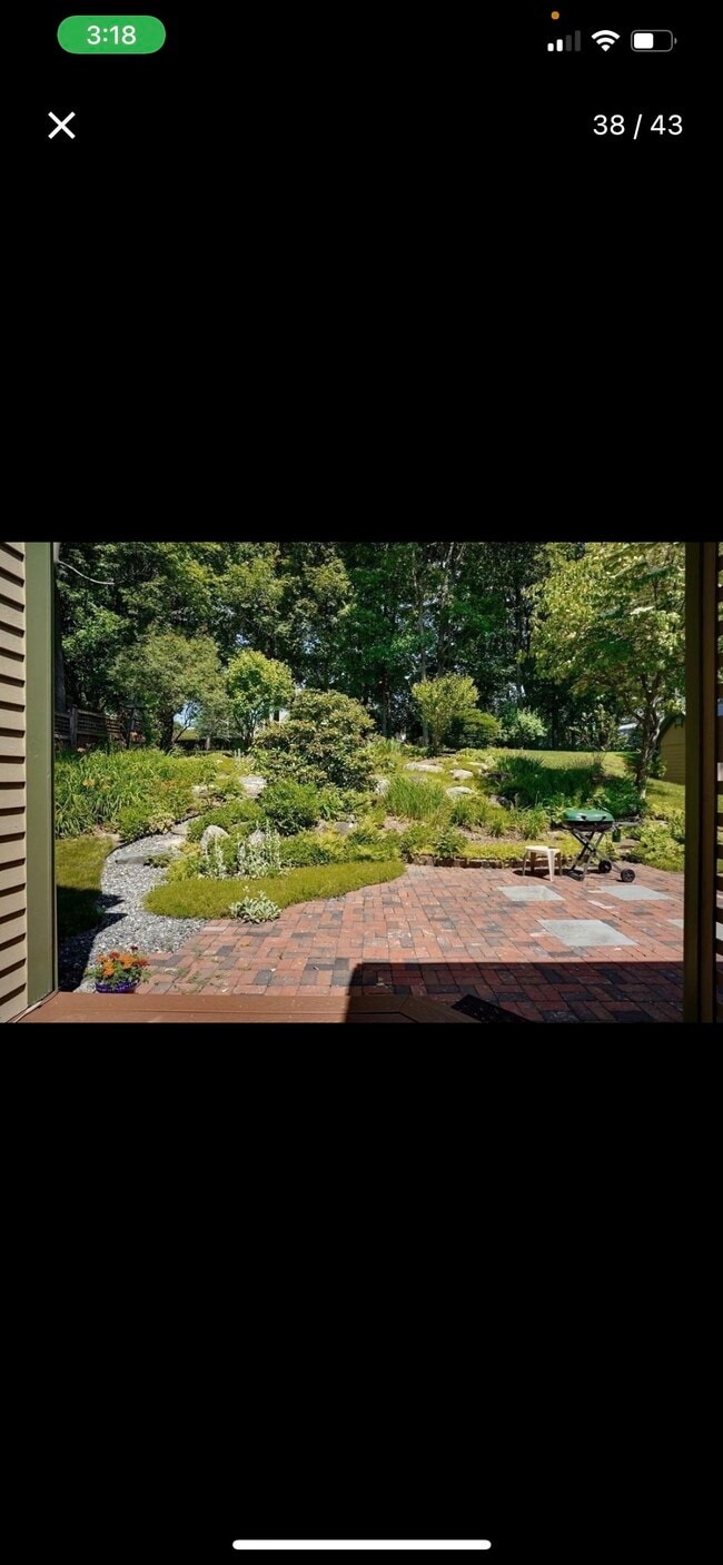 Backyard - 79 Highland St