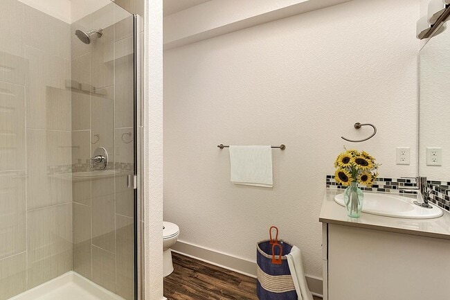 Photo - The Barrister