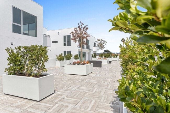 Photo - La Vida Melrose