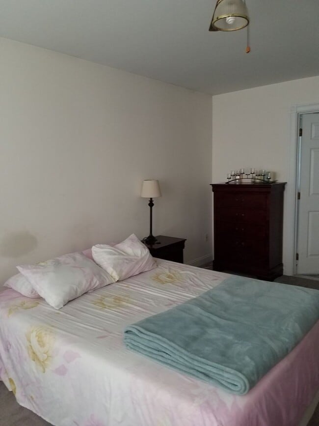 Photo - Available in Colchester