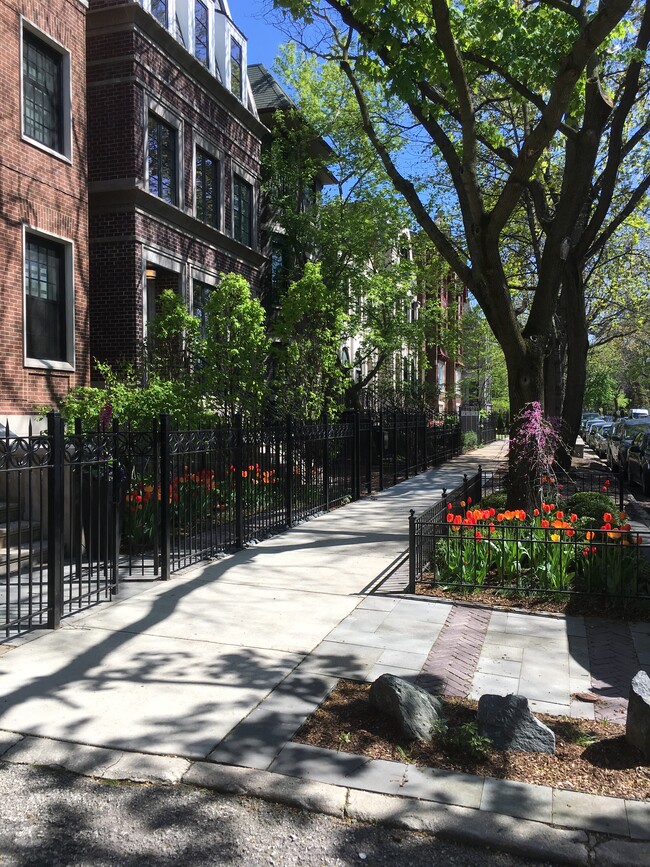 premier lincoln park street - 2149 N Dayton St Unit 2