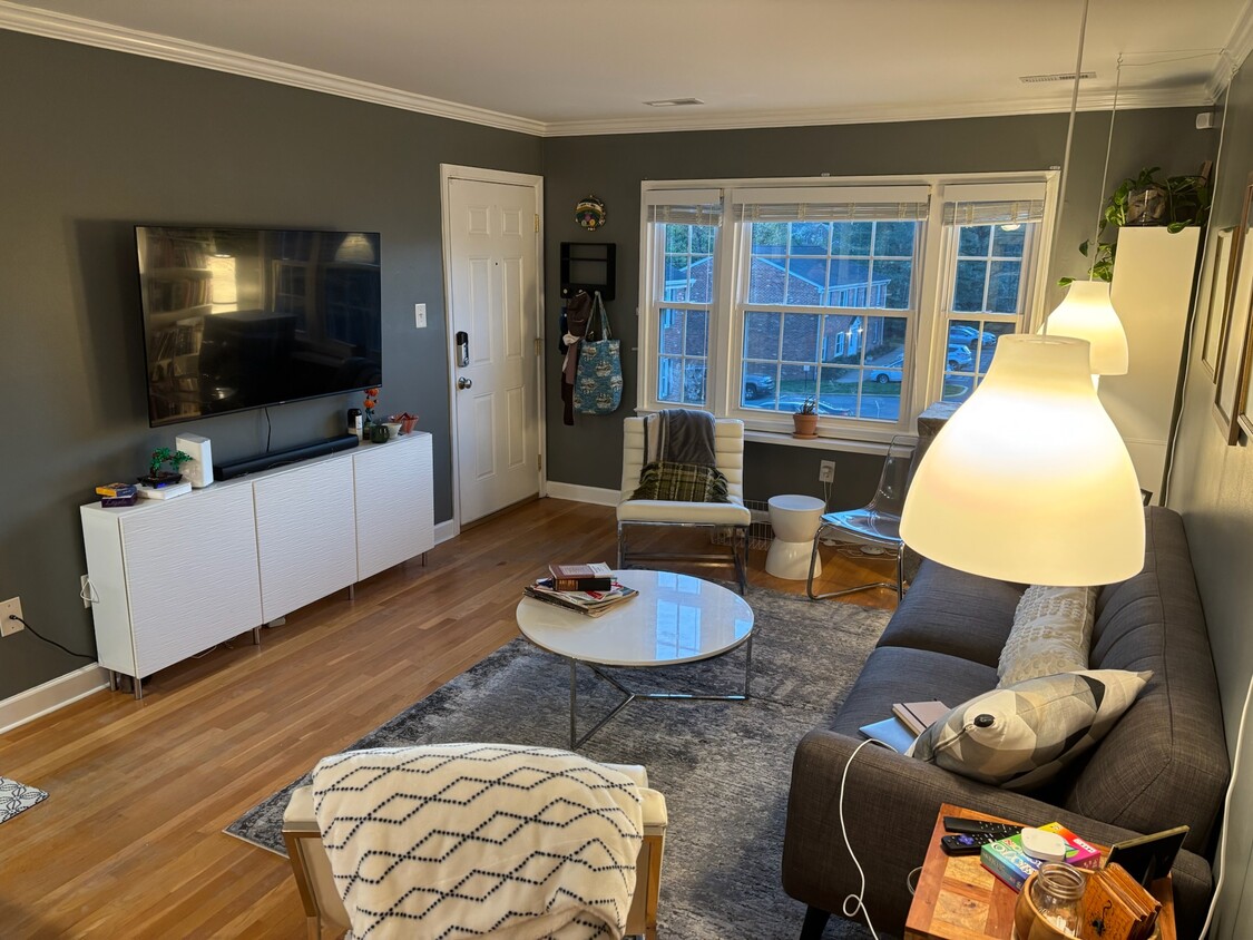 Living Area - 2414 Barracks Pl (Charlottesville, VA)