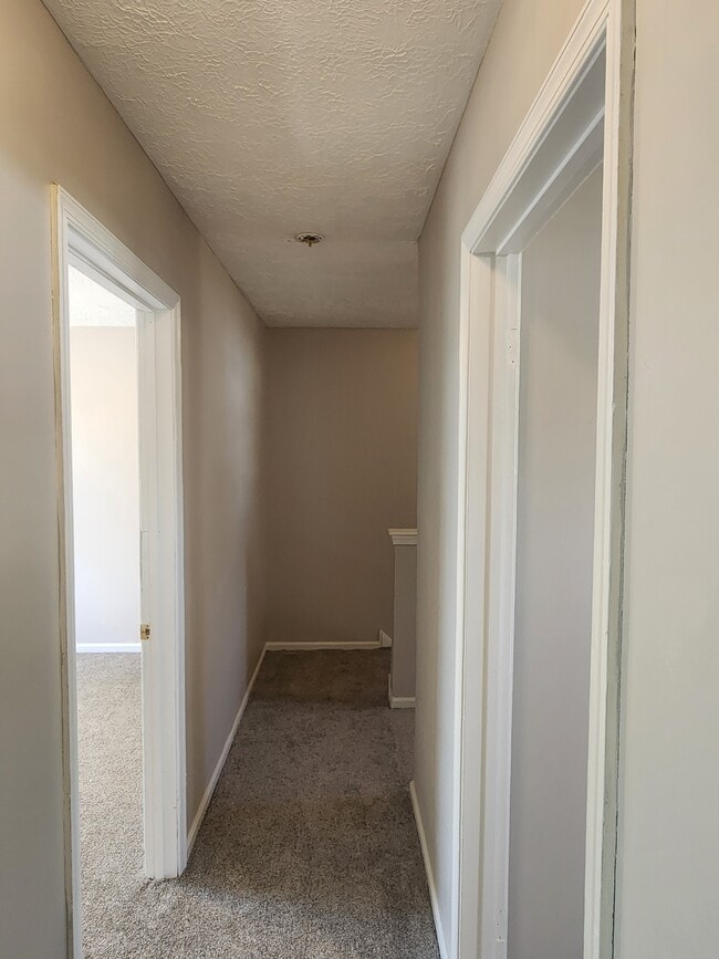 Photo - 49 Berkshire Rd