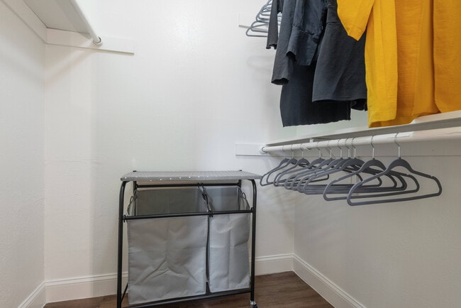Spacious Walk-In Closet at Oak Park Apartments
