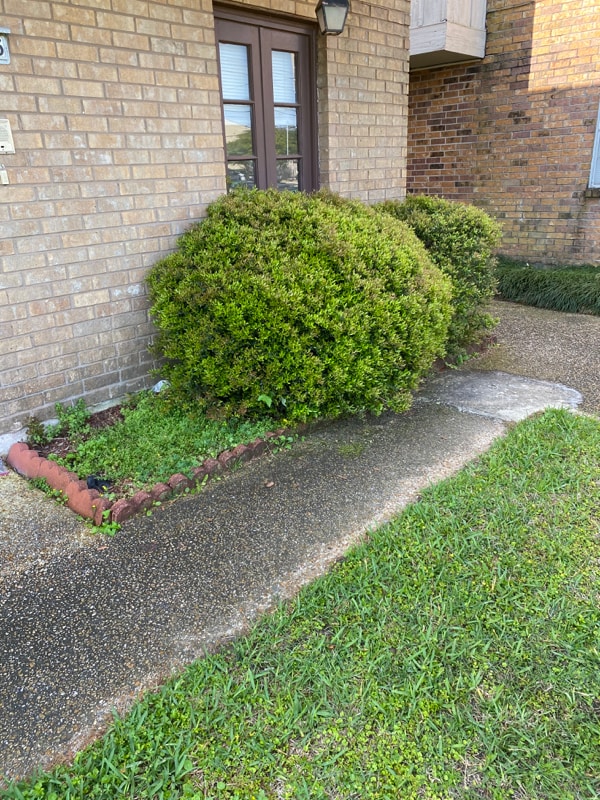Photo - 4624 Fairfield St