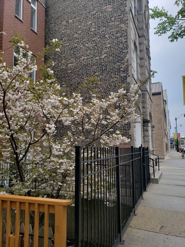 Photo - 1650 N Halsted St Unit CH