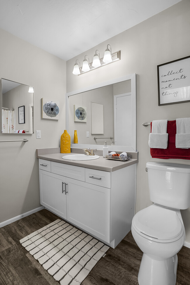 Photo - Mountain Shadows