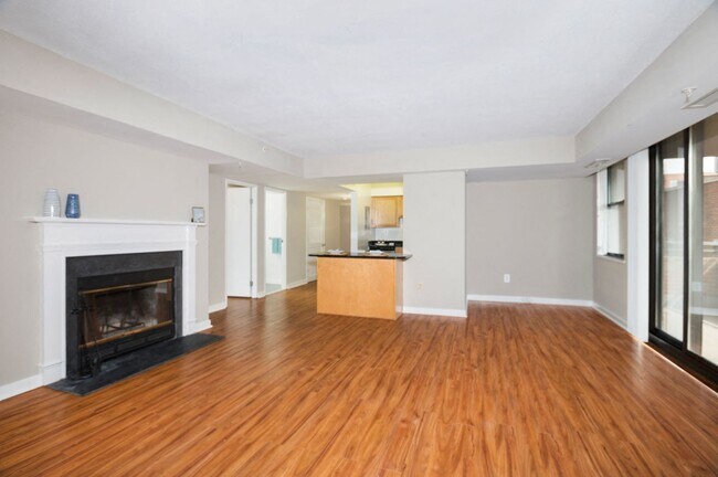Two-bedroom apartment living area with fireplace