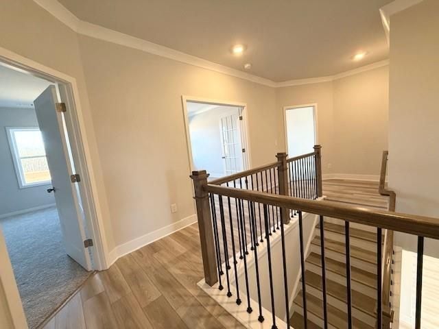 Photo - 114 Brandle Rose Wy