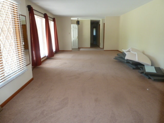 Photo - Walk to Campus! Incredible location, amazi...