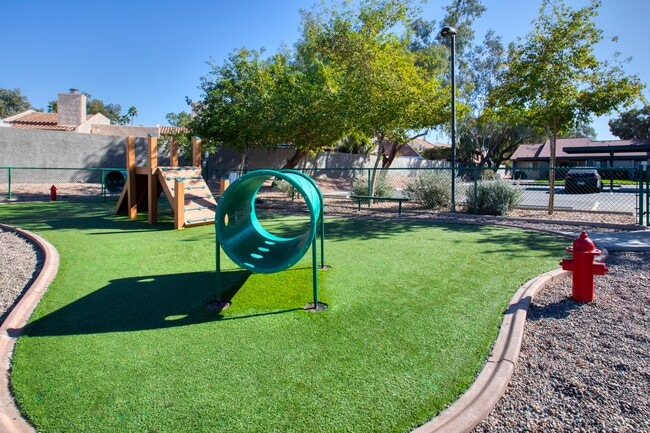 Photo - Willow Creek