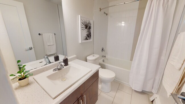 Photo - Wonderland Road