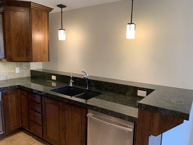 Kitchen (Dual Sink, Dishwasher) - 11093 S Hampton Way Unit Basement Walkout