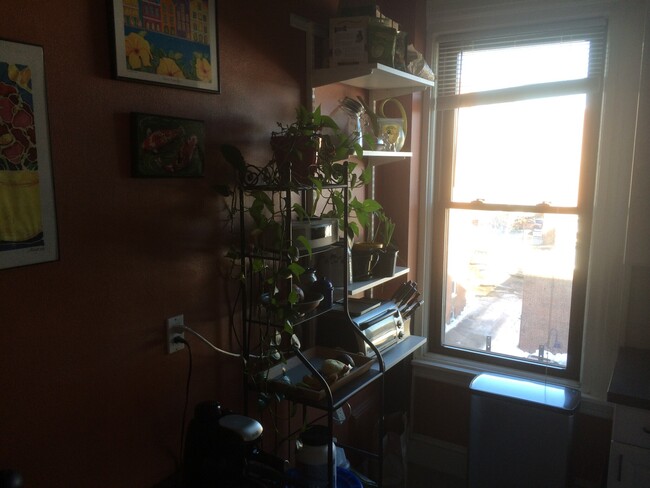 Photo - 1258 Beacon St Apartments Unit 5