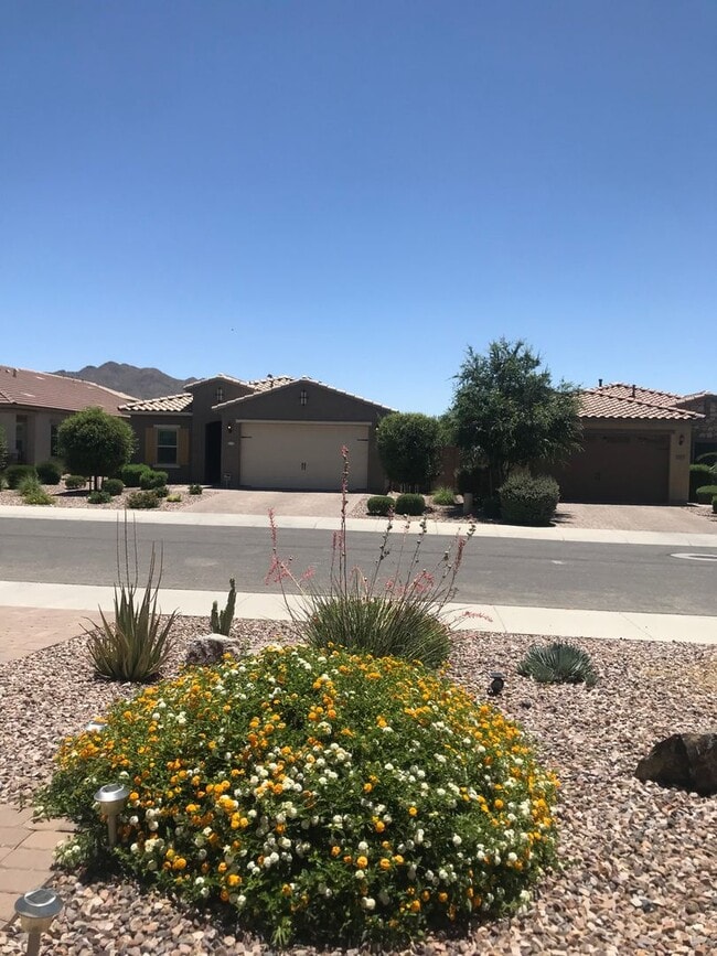 Photo - Beautiful 4 br/2ba Home in Adora Trails Neighborhood Gilbert AZ Available in July!