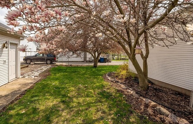 Photo - 520 Dove St