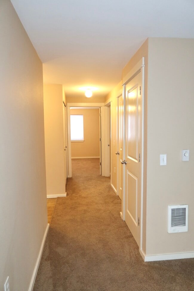 Photo - The Vineyards