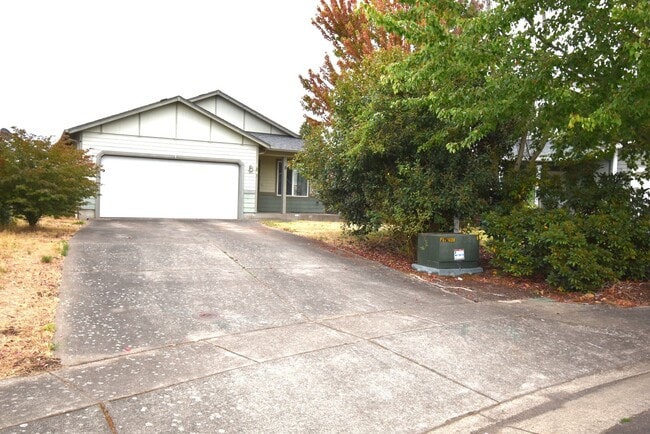 1043 Fuji Ln