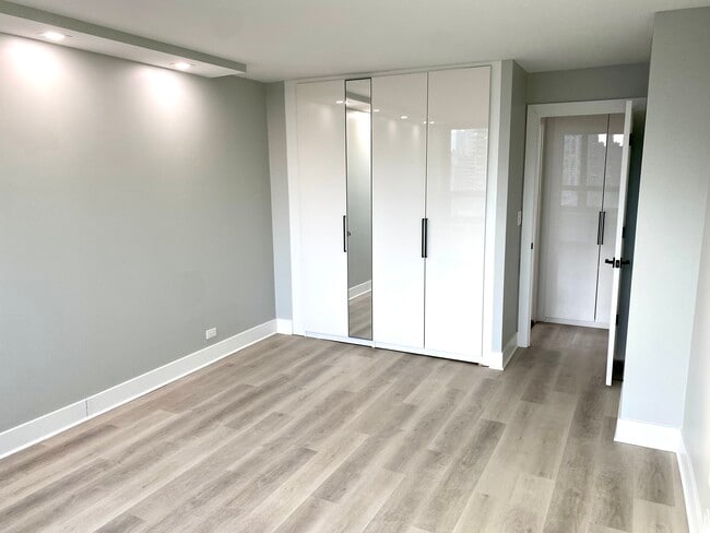Bedroom 1 Closets - 88 W Schiller St Unit 1606L