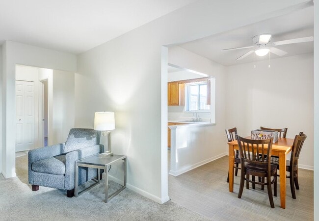 Photo - Island Drive