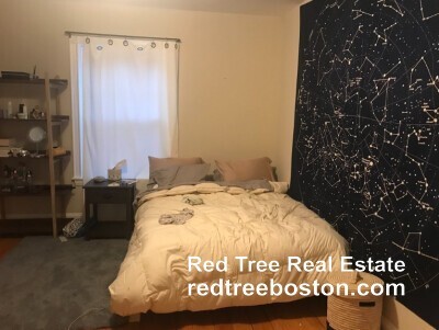 Photo - 17 Putnam Ave