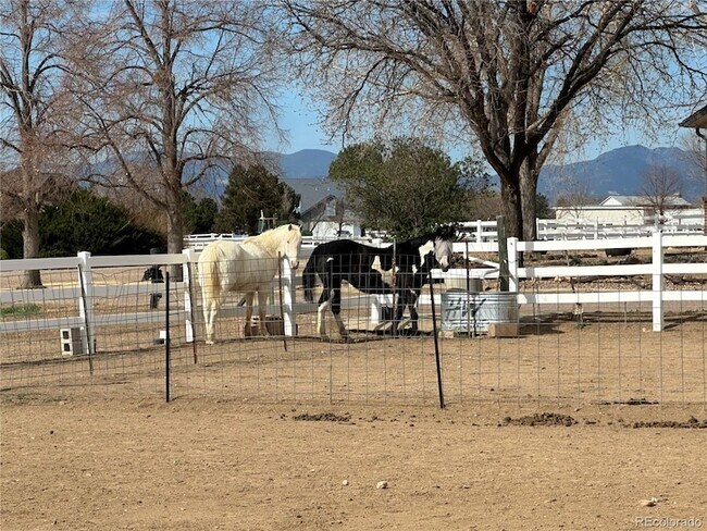 Photo - 14781 Clay St