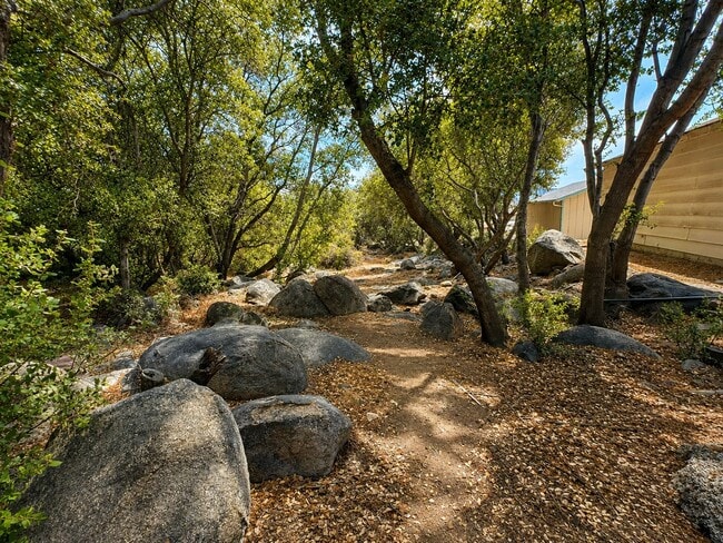 Photo - 36 Bristlecone Dr