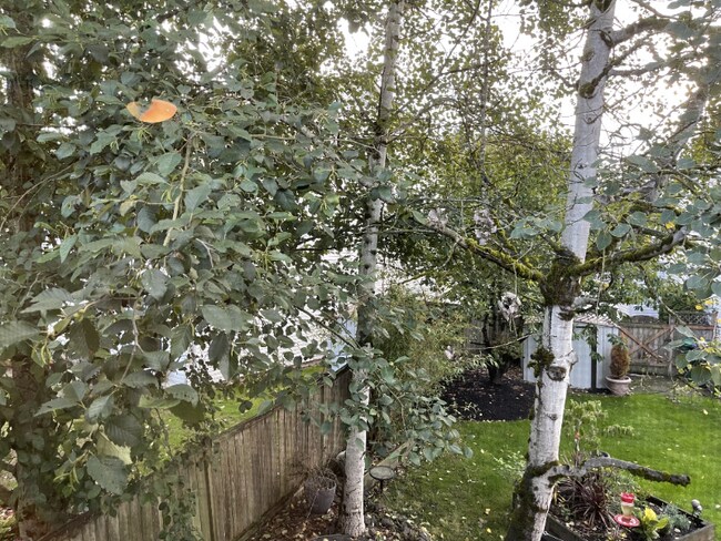 Photo - 5806 136th St SE