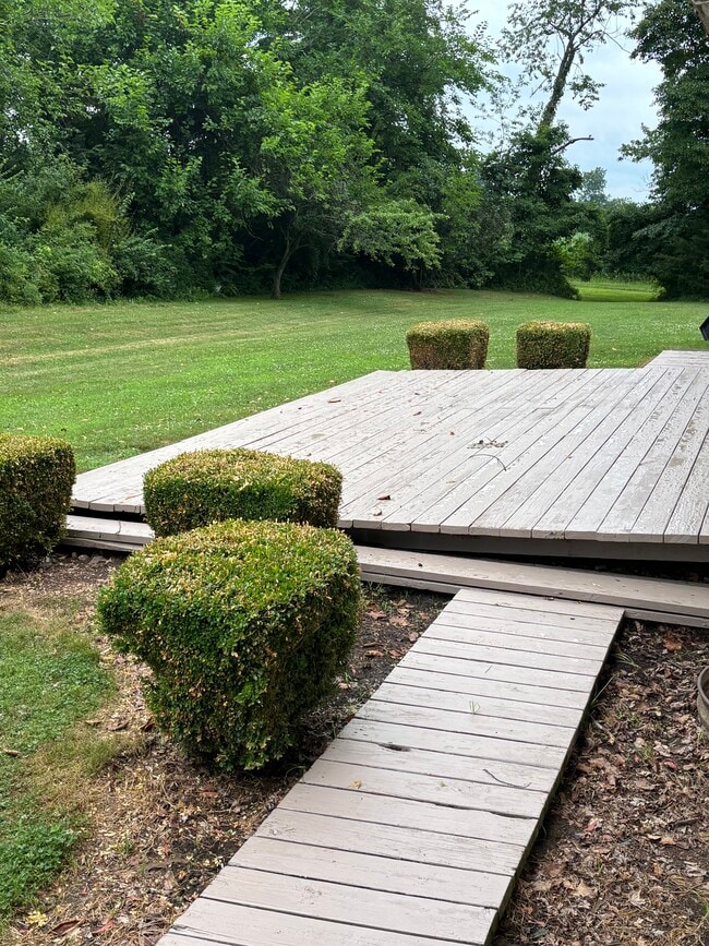 Photo - 221 Zenith Rd