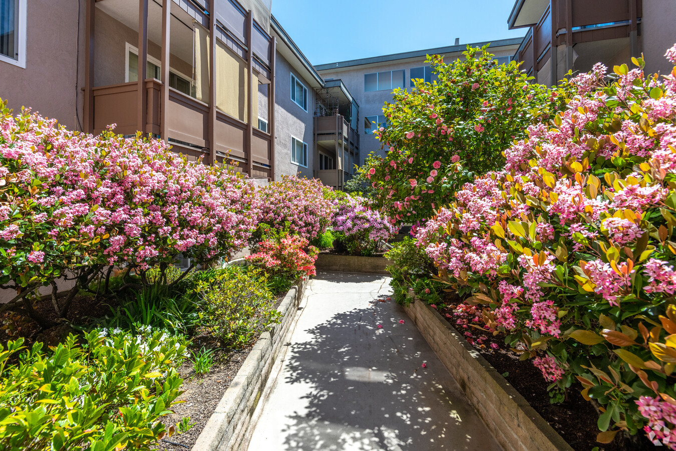 150 Haas Avenue - 150 Haas Avenue Apartments