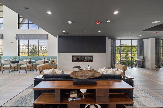 Photo - The Range On Oleander