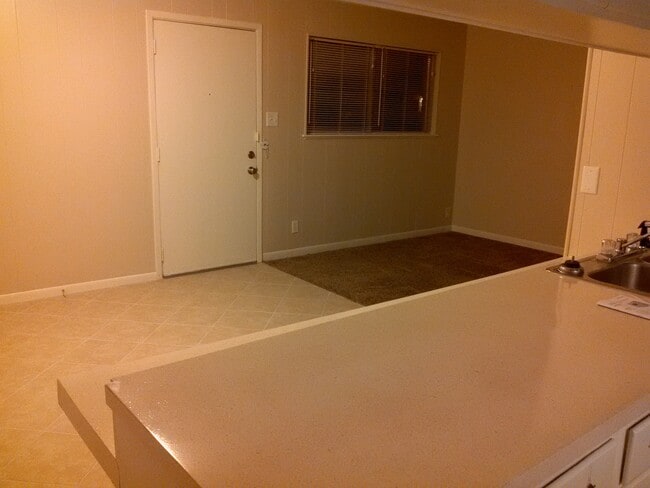 Kitchen Counter open to Dining/Living Rooms