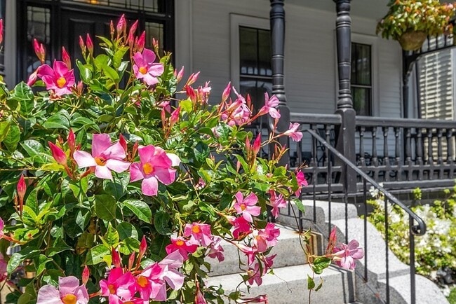 Photo - 29 Central St Unit 2