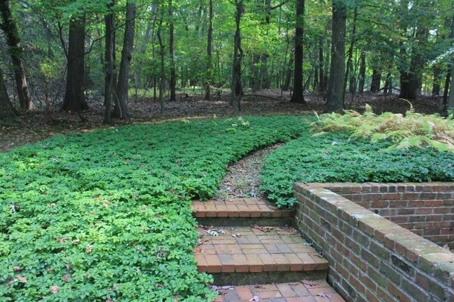 Photo - 734 Trephanny Ln